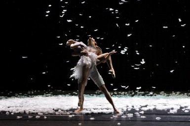 Artikelbild zum Artikel "Neuigkeiten vom BallettPforzheim" / Foto: Theater Pforzheim